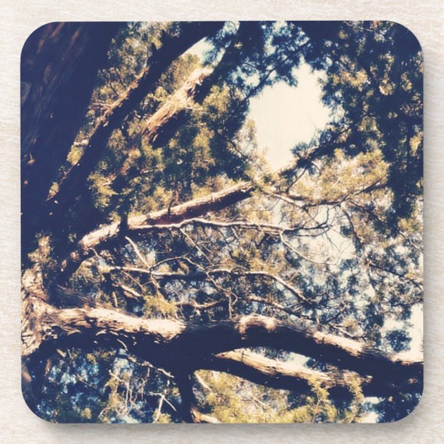 Posavasos My fave Tree (Frente)