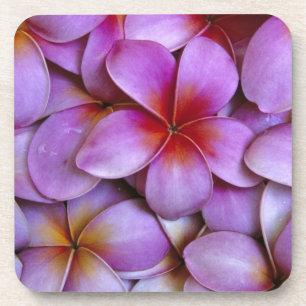 Posavasos N.A., EE. UU., Maui, Hawái. Flores de Plumeria ros
