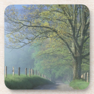 Posavasos N.A., EE. UU., Tennessee, Parque Nacional Smokey M