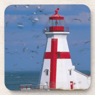 Posavasos NA, Canadá, Nuevo Brunswick, Isla Campobello. 8