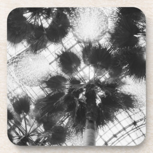 Posavasos NA, EE.UU., Nueva York, Nueva York. Palmeras en