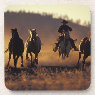 Posavasos NA, EE. UU., Oregón, Seneca, Ponderosa Ranch, Vaqu