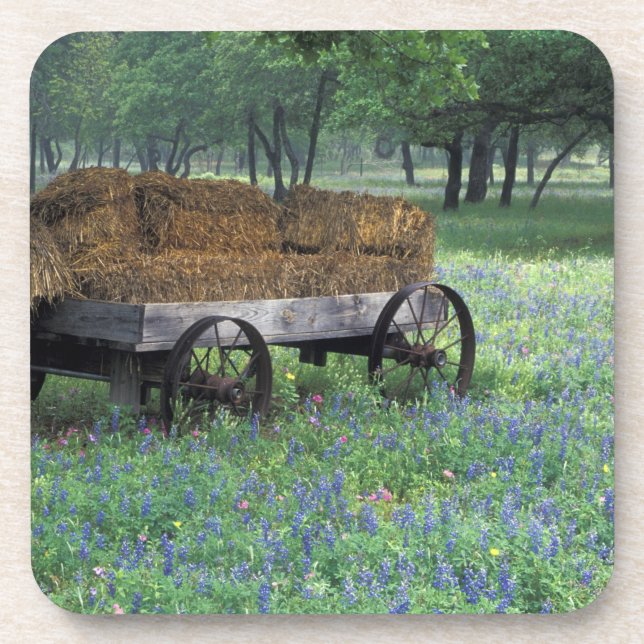 Posavasos NA, EE. UU., Texas, al este de Devine, Viejo vagón (Frente)