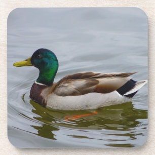 Posavasos Nada Mallard Nada