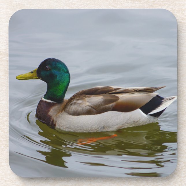 Posavasos Nada Mallard Nada (Frente)
