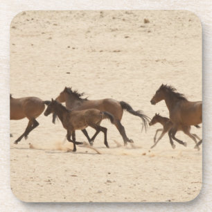 Posavasos Namibia, Aus. Grupo de caballos salvajes corriendo