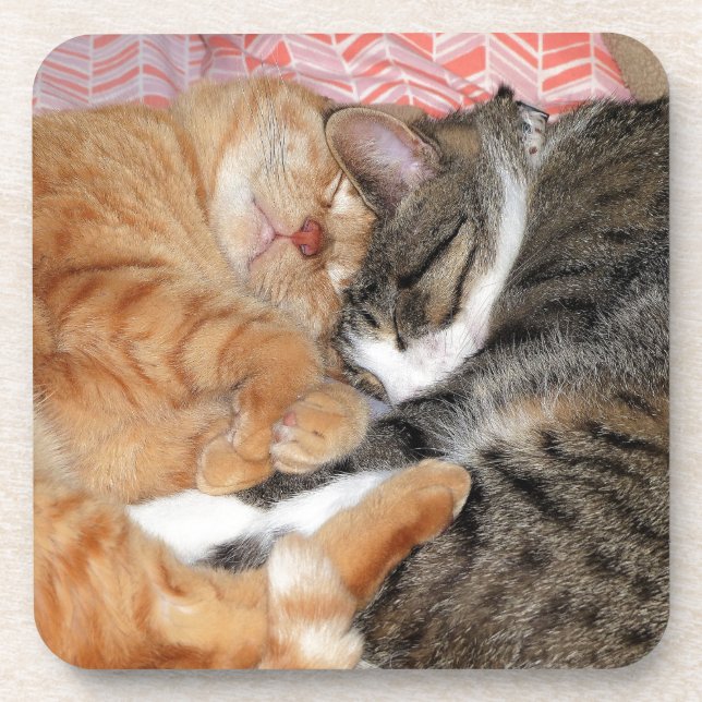 Posavasos Nap Buddies (Frente)