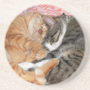 Posavasos Nap Buddies