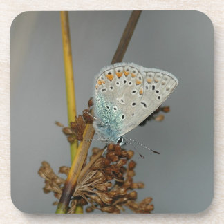 Posavasos Naranja blanco azul con mariposa de puntos negros