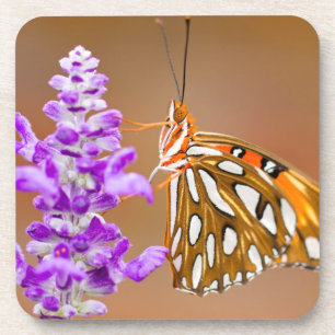 Posavasos Naranja brillante mariposa fritillera del Golfo