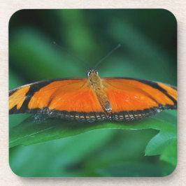 Posavasos Naranja brillante y mariposa negra en hoja