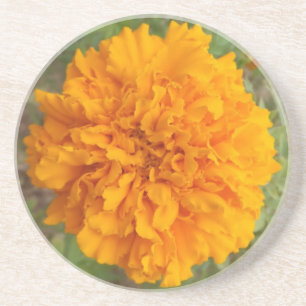 Posavasos Naranja Carnation Coaster