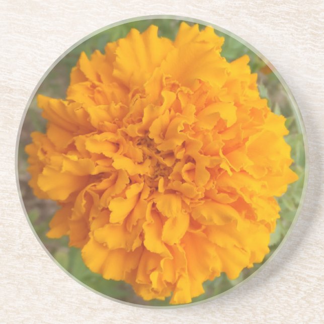 Posavasos Naranja Carnation Coaster (Frente)
