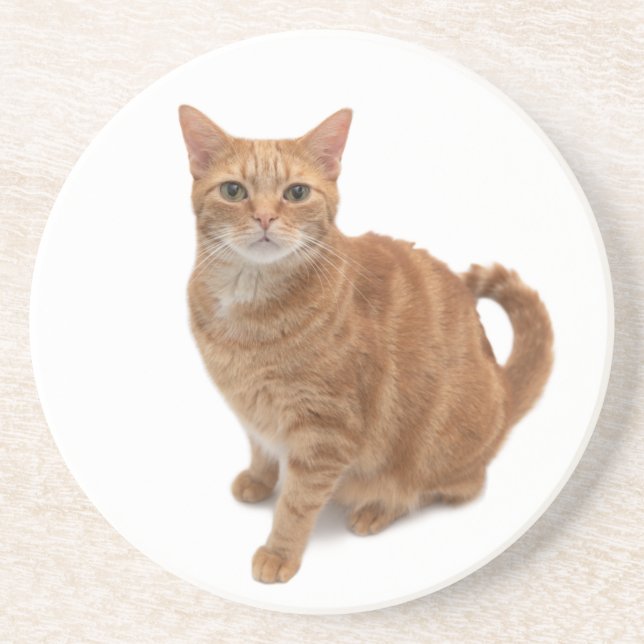 Posavasos Naranja Cat Standing (Frente)