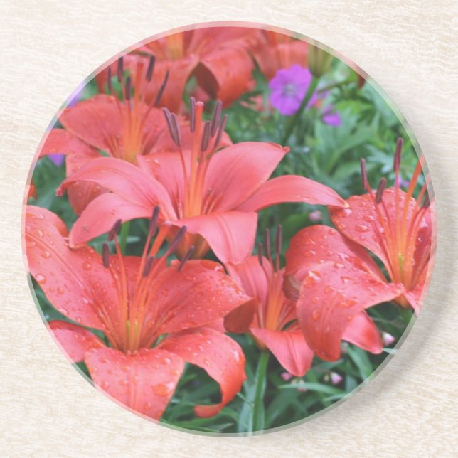 Posavasos Naranja Day Lilies Floral Coaster (Frente)