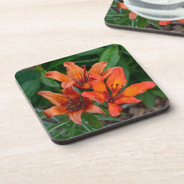 Posavasos Naranja Daylily Canadian Flower Photography (Lado Izquierdo)