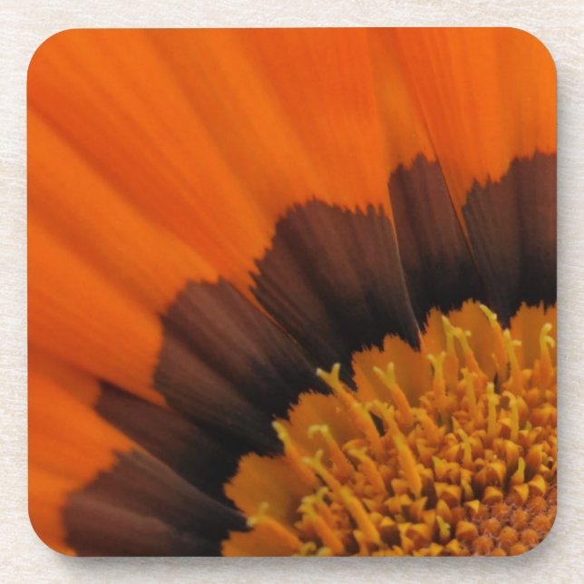 Posavasos Naranja Gazania Coasters (Frente)