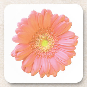 Posavasos Naranja gerbera daisy