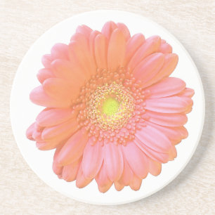 Posavasos Naranja gerbera daisy