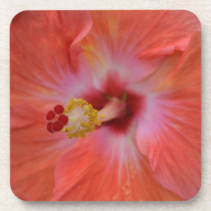 Posavasos Naranja Hibiscus Cork Coaster