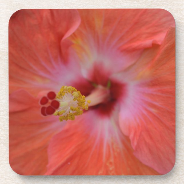 Posavasos Naranja Hibiscus Cork Coaster (Frente)