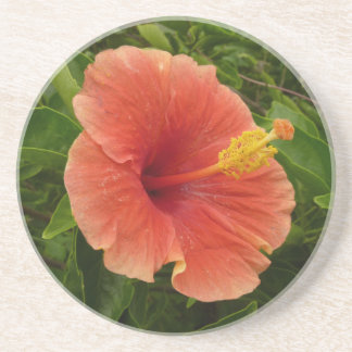 Posavasos Naranja Hibiscus Flower Tropical Floral