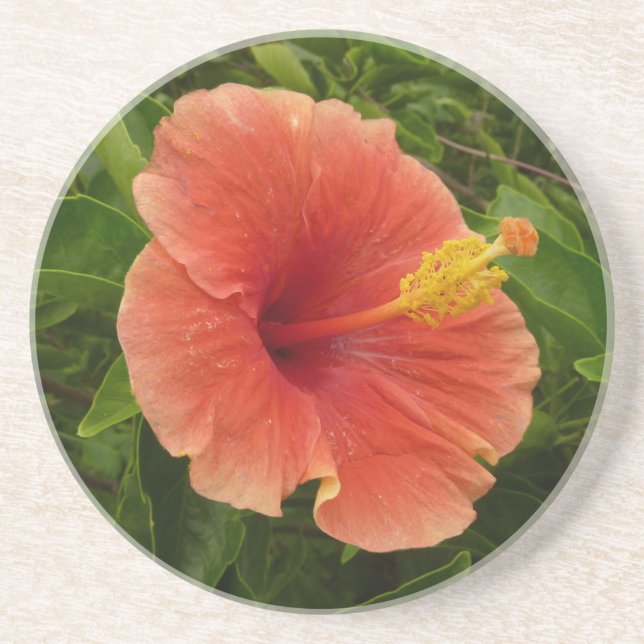 Posavasos Naranja Hibiscus Flower Tropical Floral (Frente)