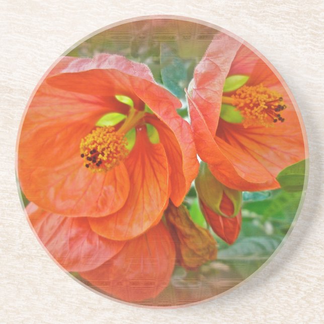 Posavasos Naranja Hibiscus Flowers (Frente)