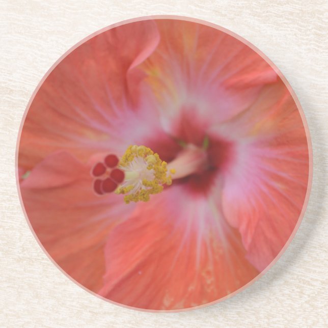 Posavasos Naranja Hibiscus Sandstone Coaster (Frente)