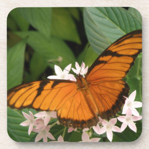 Posavasos Naranja Julia Butterfly Cork Coasters