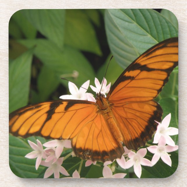 Posavasos Naranja Julia Butterfly Cork Coasters (Frente)