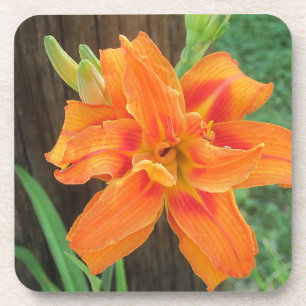 Posavasos Naranja Lily Coaster