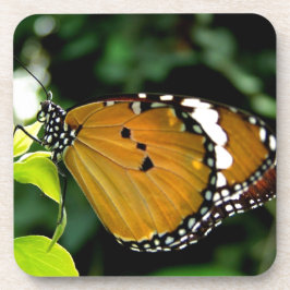 Posavasos Naranja, mariposa negra y blanca en hojas