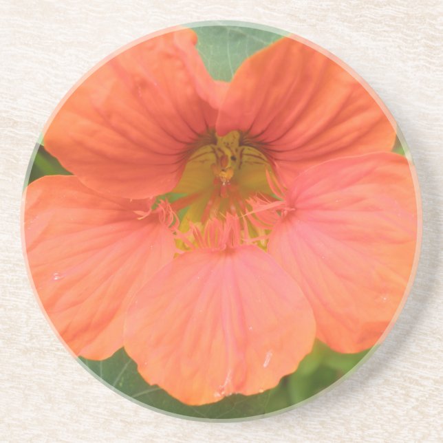 Posavasos Naranja Nasturtium Flower Coasters (Frente)