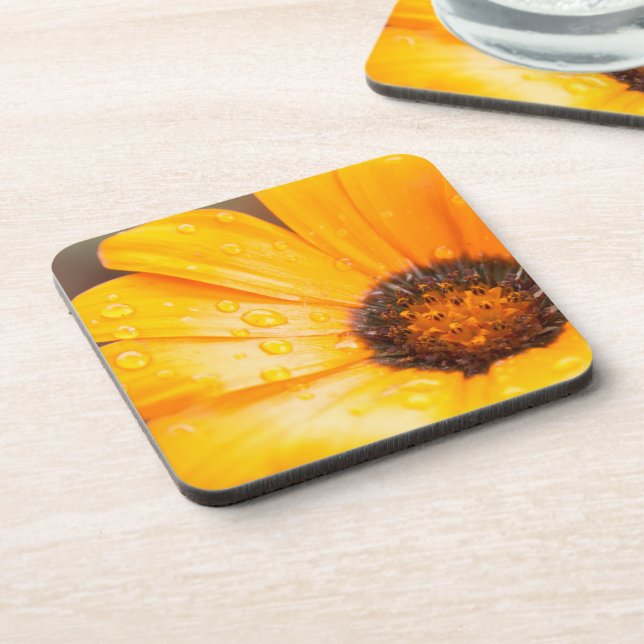 Posavasos Naranja Primavera Flash Daisy Close Photo (Lado Izquierdo)