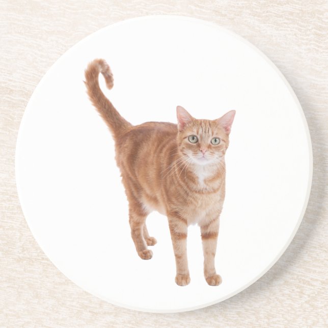 Posavasos Naranja Tabby Cat Standing (Frente)