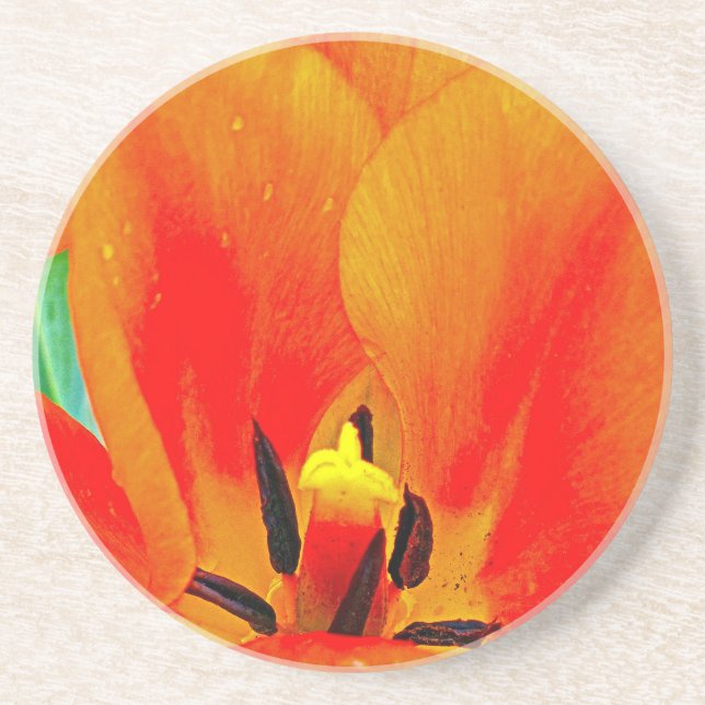 Posavasos Naranja Tulip (Frente)
