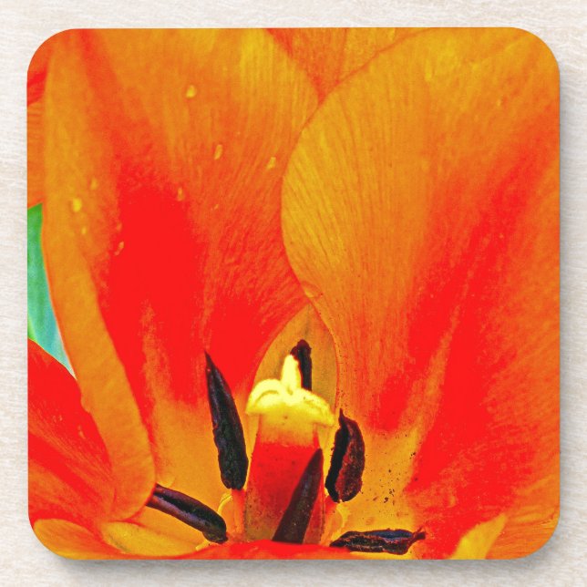 Posavasos Naranja Tulip (Frente)