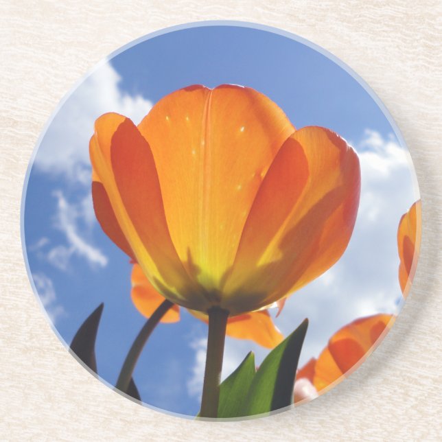 Posavasos Naranja Tulip, cielo azul (Frente)