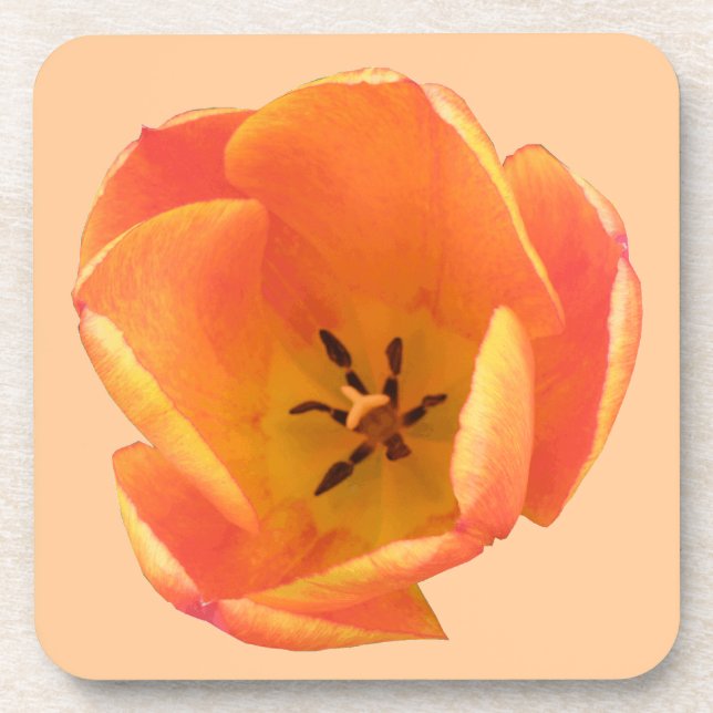 Posavasos Naranja Tulip Cork Coaster (Frente)
