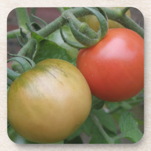 Posavasos Naranja y tomates rojos