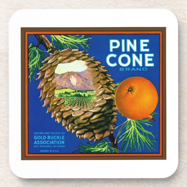 Posavasos Naranjas del cono del pino (Frente)