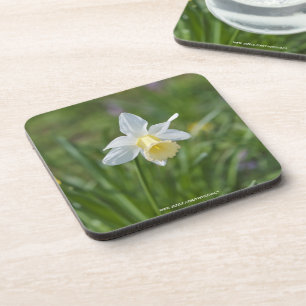 Posavasos Narciso