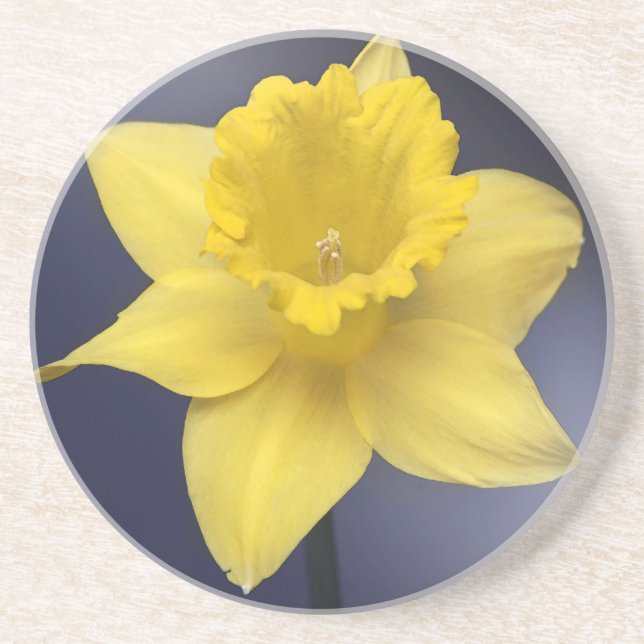 Posavasos Narciso Amarillo Flor Flor Pintada acuarela floral (Frente)