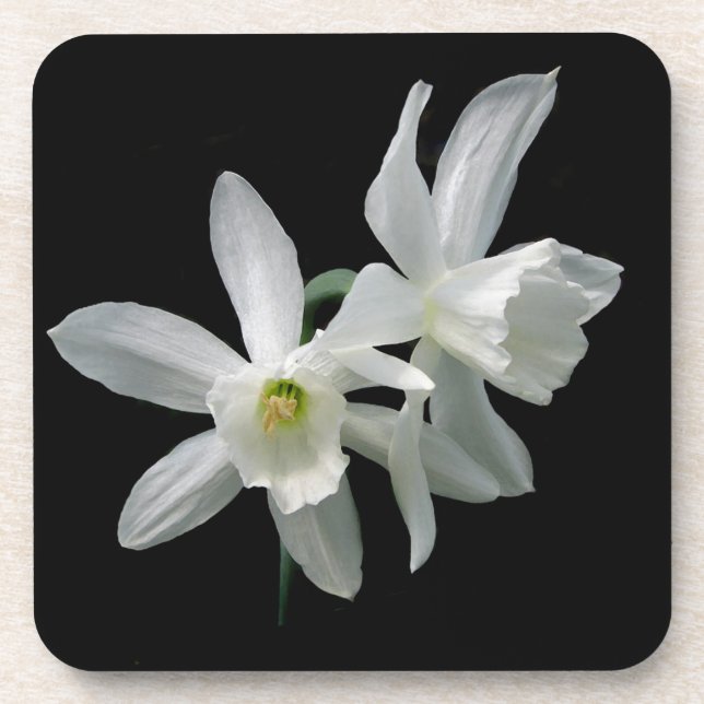 Posavasos Narciso blanco (Frente)