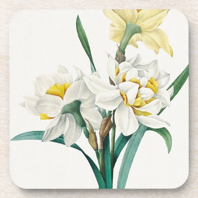 Posavasos Narciso doble, Pierre-Joseph Redouté, 1827 (Frente)