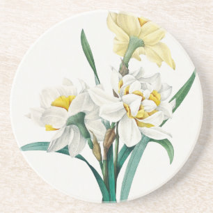 Posavasos Narciso doble, Pierre-Joseph Redouté, 1827