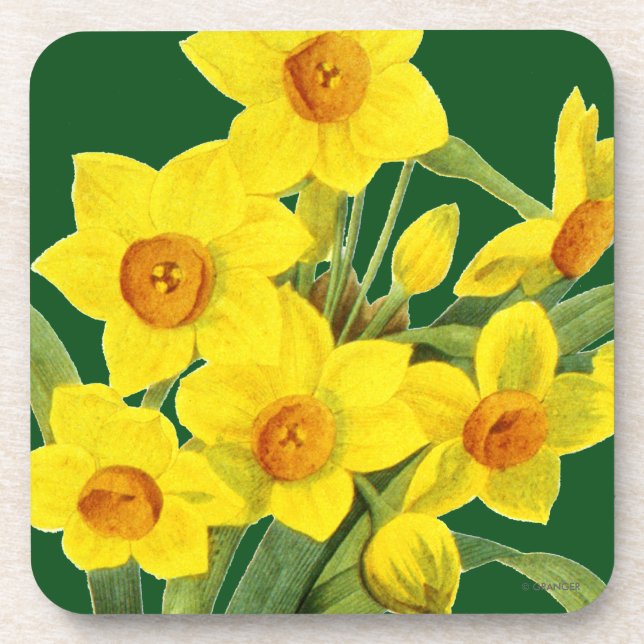 Posavasos Narciso (N Tazetta) (Frente)