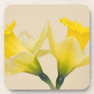 Posavasos Narcisos amarillos
