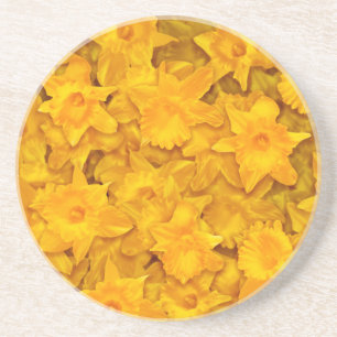 Posavasos Narcissus Flowers